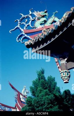 北海普陀寺在哪裏，這是一個引人入勝的問題。普陀山，中國四大佛教名山之一，素有“海天佛國”的美譽，而北海卻是另一個充滿魅力的地方，它是否也有著與普陀山相似的風情？