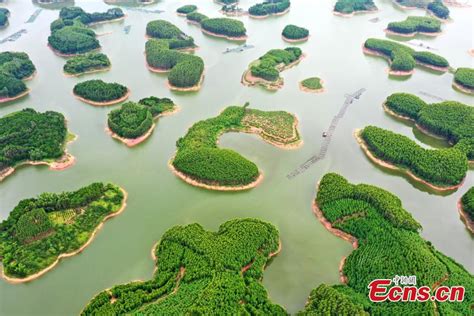 廣西哪個島好玩——探索廣西島嶼的樂趣與特色